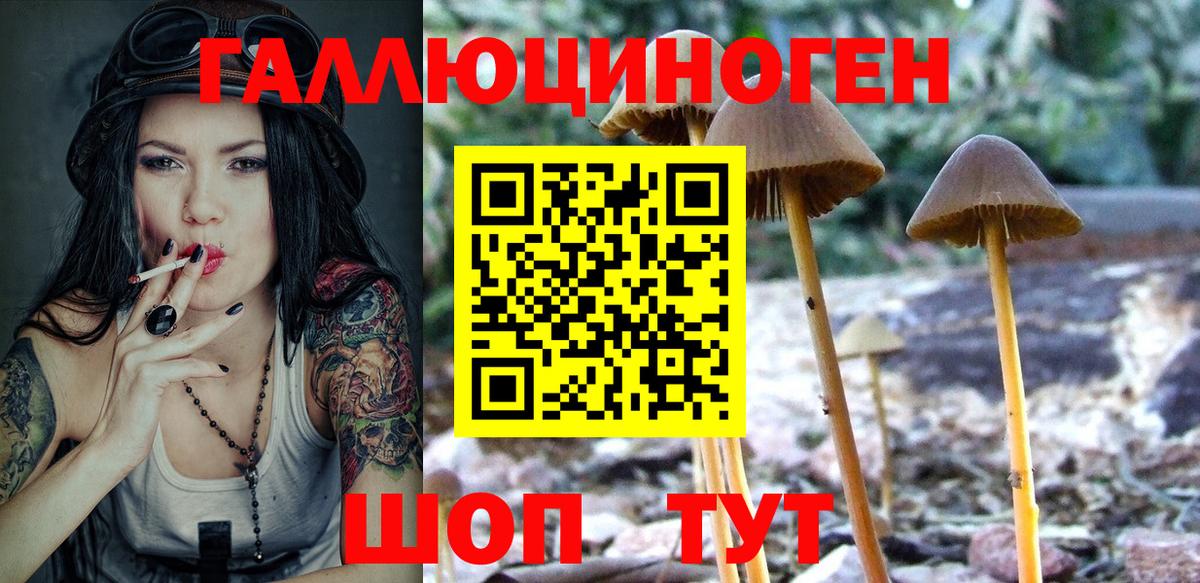 Псилоцибиновые грибы прущие грибы Клин